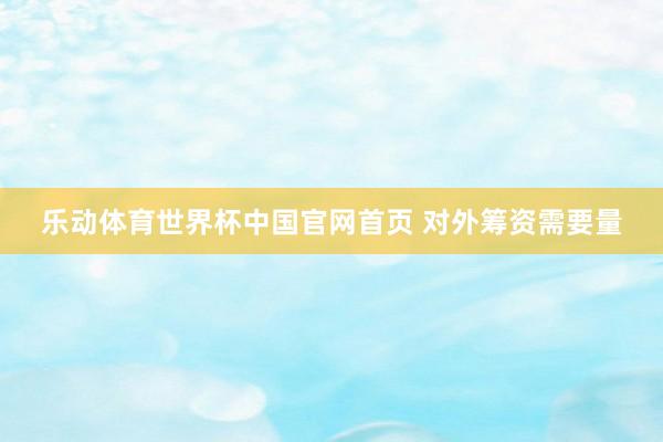 乐动体育世界杯中国官网首页 对外筹资需要量