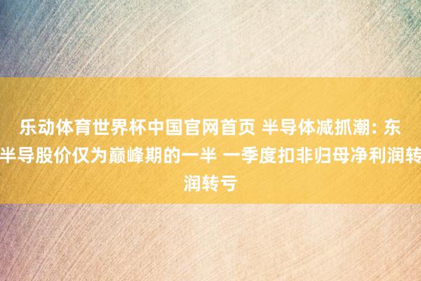 乐动体育世界杯中国官网首页 半导体减抓潮: 东微半导股价仅为巅峰期的一半 一季度扣非归母净利润转亏