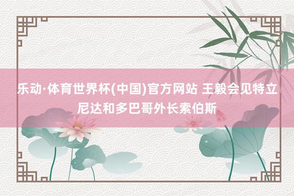 乐动·体育世界杯(中国)官方网站 王毅会见特立尼达和多巴哥外长索伯斯