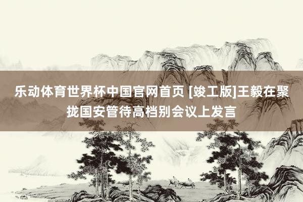 乐动体育世界杯中国官网首页 [竣工版]王毅在聚拢国安管待高档别会议上发言