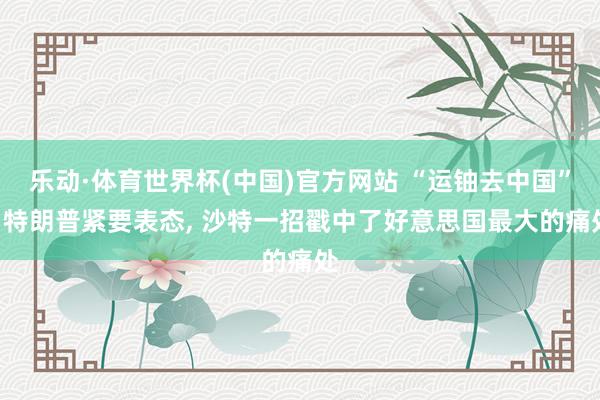 乐动·体育世界杯(中国)官方网站 “运铀去中国”? 特朗普紧要表态， 沙特一招戳中了好意思国最大的痛处