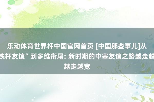 乐动体育世界杯中国官网首页 [中国那些事儿]从“铁杆友谊”到多维衔尾: 新时期的中塞友谊之路越走越宽