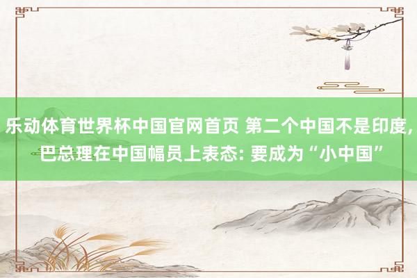 乐动体育世界杯中国官网首页 第二个中国不是印度， 巴总理在中国幅员上表态: 要成为“小中国”