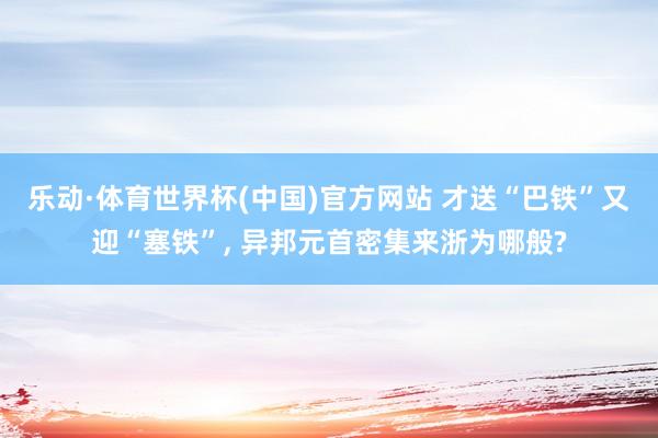 乐动·体育世界杯(中国)官方网站 才送“巴铁”又迎“塞铁”， 异邦元首密集来浙为哪般?
