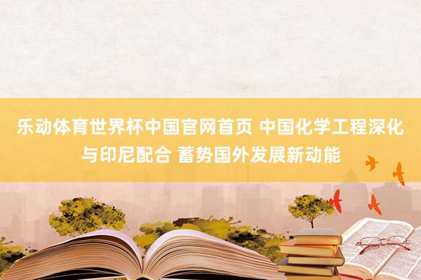 乐动体育世界杯中国官网首页 中国化学工程深化与印尼配合 蓄势国外发展新动能