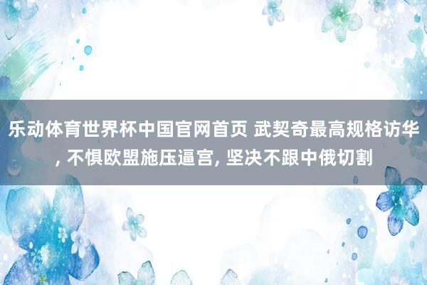乐动体育世界杯中国官网首页 武契奇最高规格访华， 不惧欧盟施压逼宫， 坚决不跟中俄切割