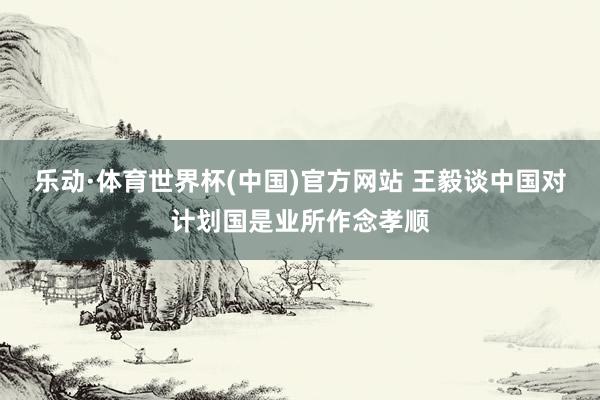 乐动·体育世界杯(中国)官方网站 王毅谈中国对计划国是业所作念孝顺