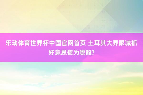 乐动体育世界杯中国官网首页 土耳其大界限减抓好意思债为哪般?