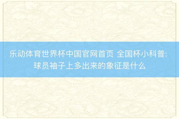 乐动体育世界杯中国官网首页 全国杯小科普: 球员袖子上多出来的象征是什么